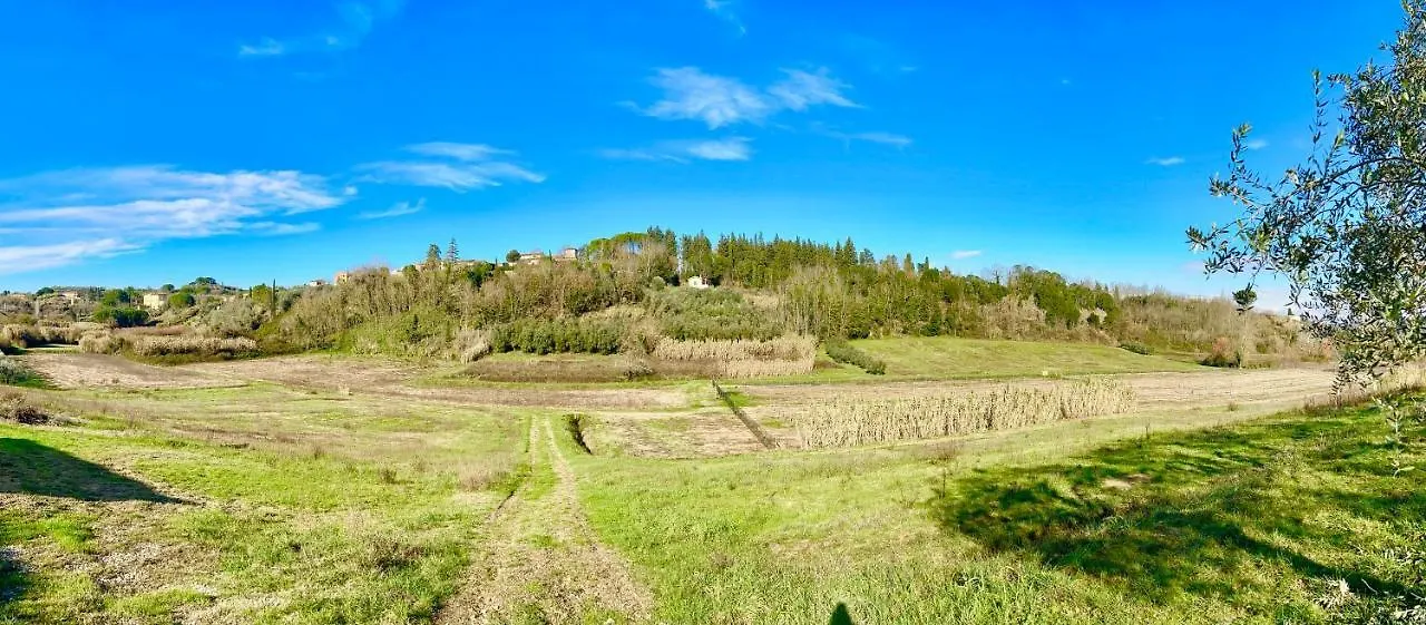 Apartment I Girasoli Di Lari - Appartamento Indipendente 2 Camere Da Letto Rivoli  Italy
